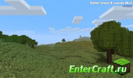 [1.6.4] BetterGrass And Leaves -  