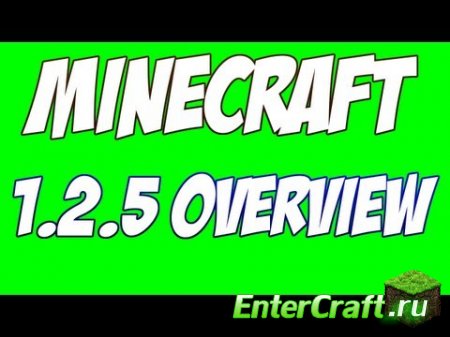 Скачать minecraft 1.2.5